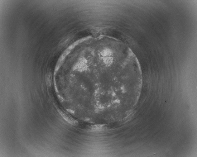 X0000080760090200701051247