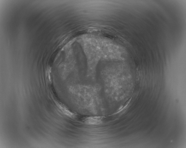 X0000080760094200701051247