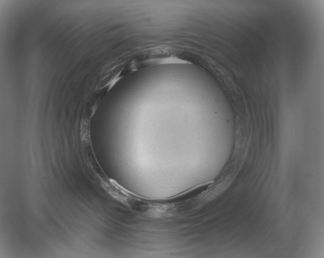X0000080760096200701051247