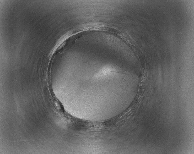 X0000080760099200701051246