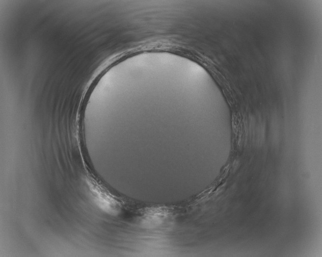 X0000080760100200701051246