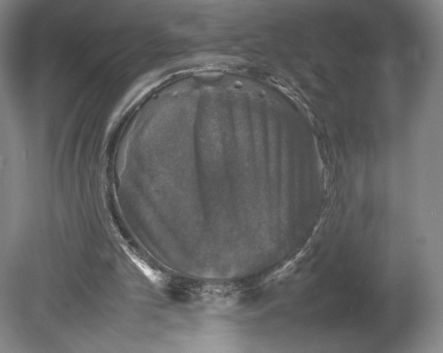 X0000080760101200701051246