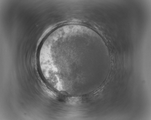 X0000080760102200701051246