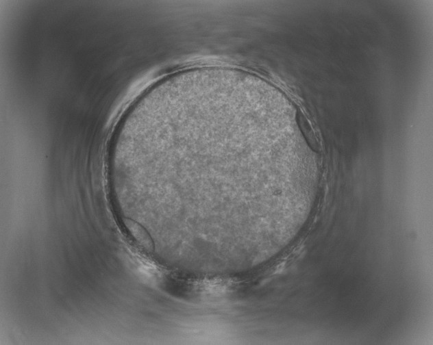 X0000080760103200701051246