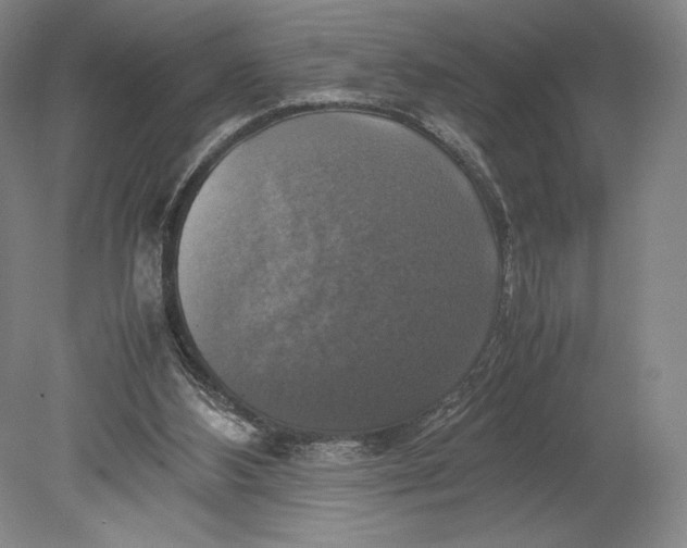 X0000080760108200701051246