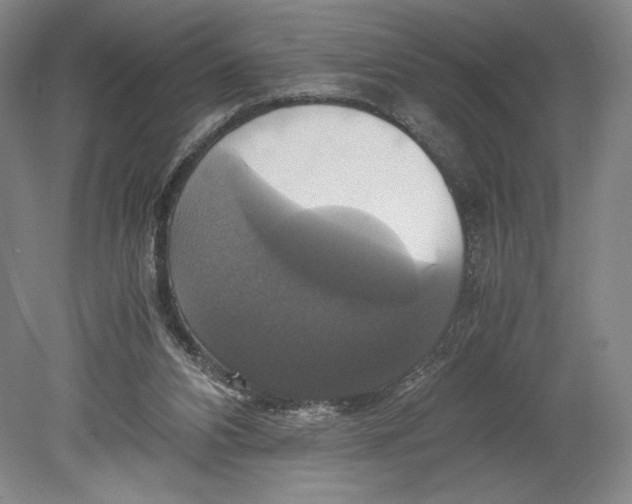 X0000080760112200701051246
