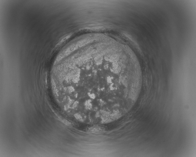 X0000080760115200701051246