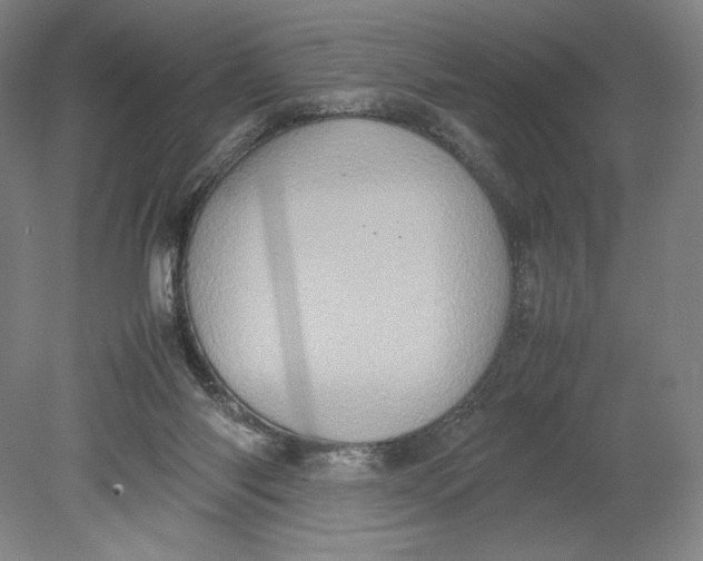 X0000080760118200701051246