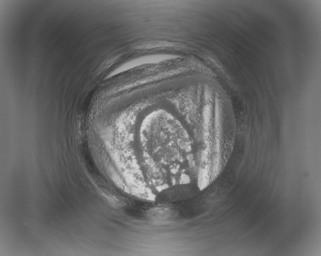 X0000080760119200701051246