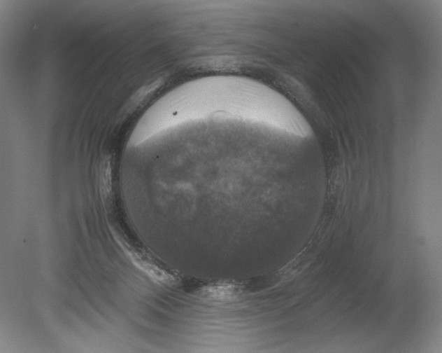 X0000080760120200701051246
