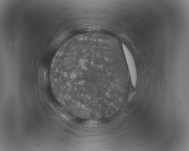 X0000080760123200701051246