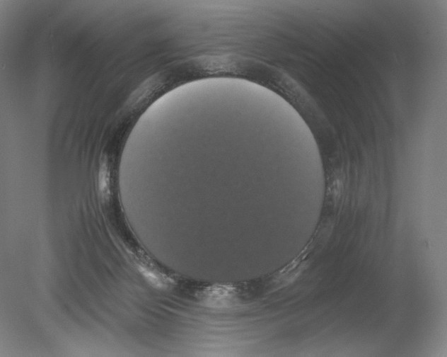 X0000080760124200701051246
