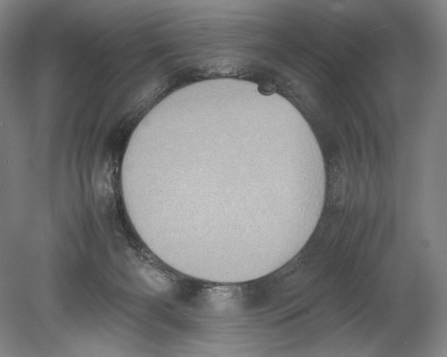 X0000080760126200701051246