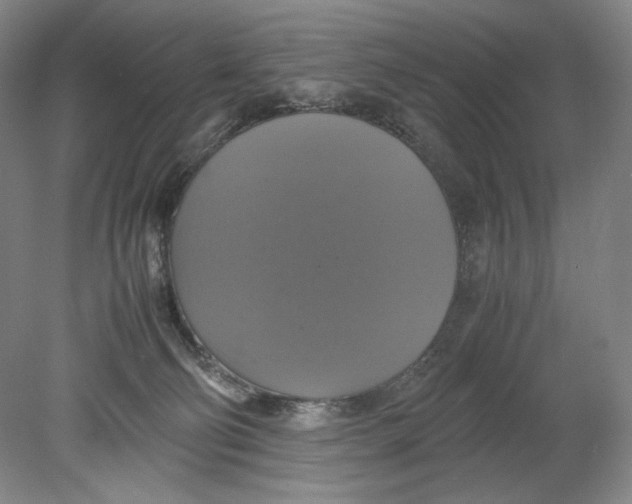 X0000080760130200701051246