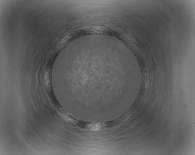 X0000080760131200701051246