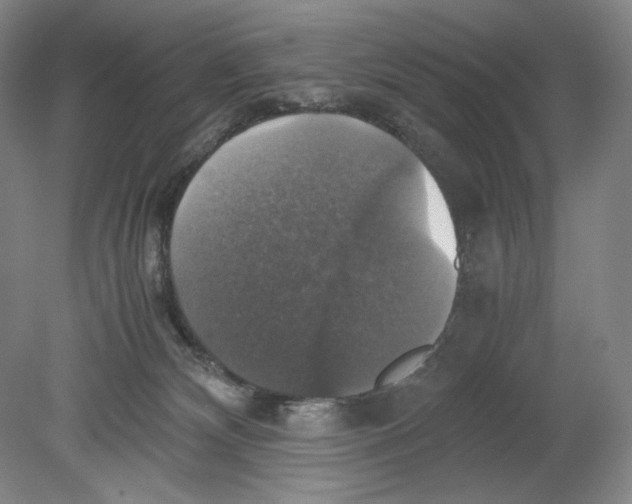 X0000080760132200701051246