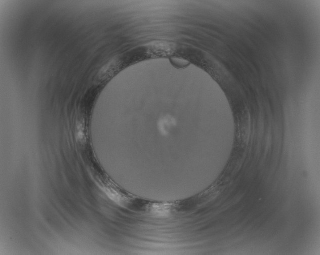 X0000080760134200701051246