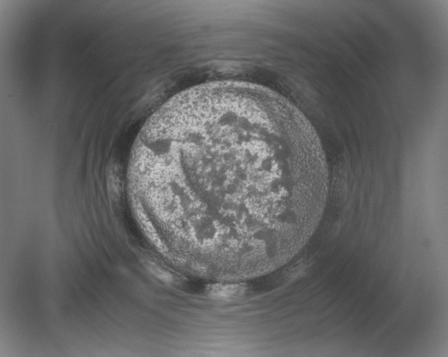 X0000080760135200701051246