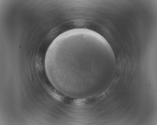 X0000080760136200701051246