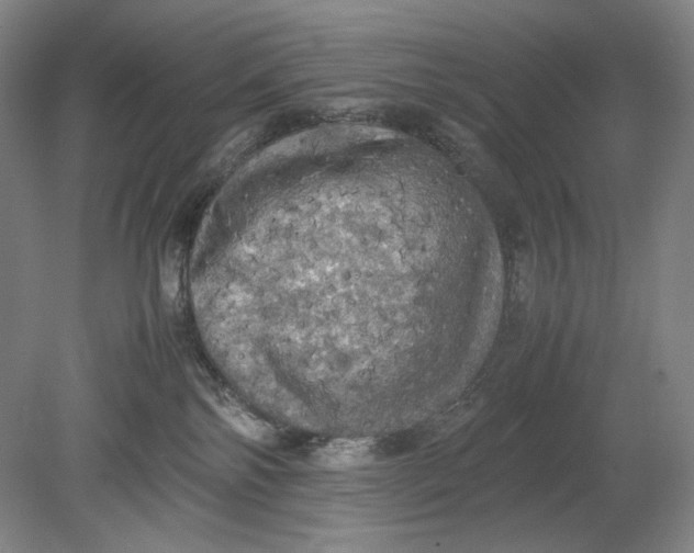 X0000080760138200701051246