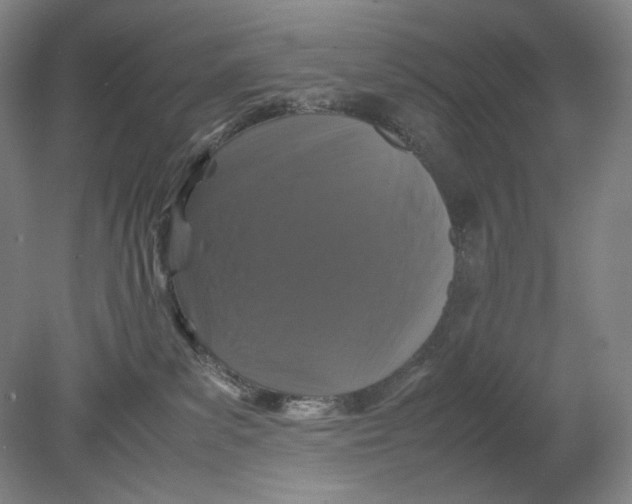 X0000080760139200701051246