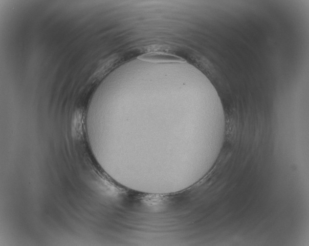 X0000080760142200701051246
