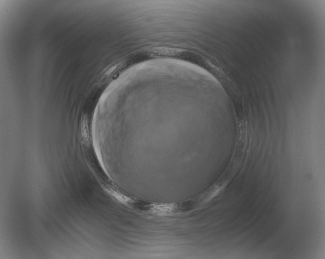 X0000080760143200701051246