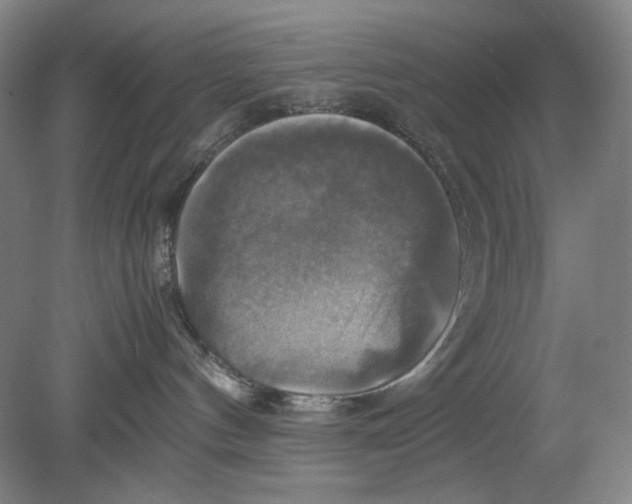 X0000080760144200701051246