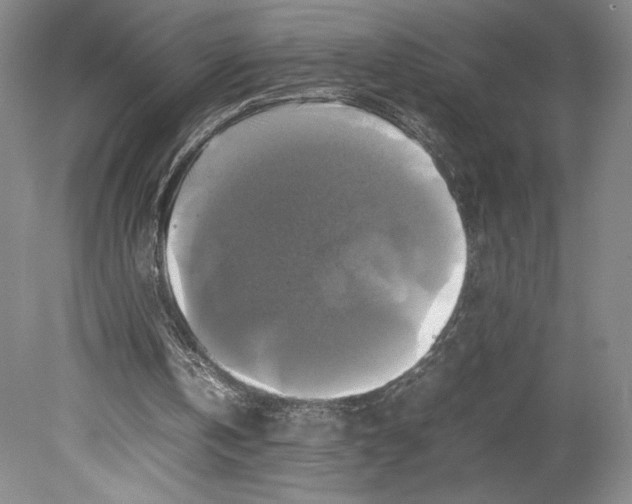X0000080760146200701051245