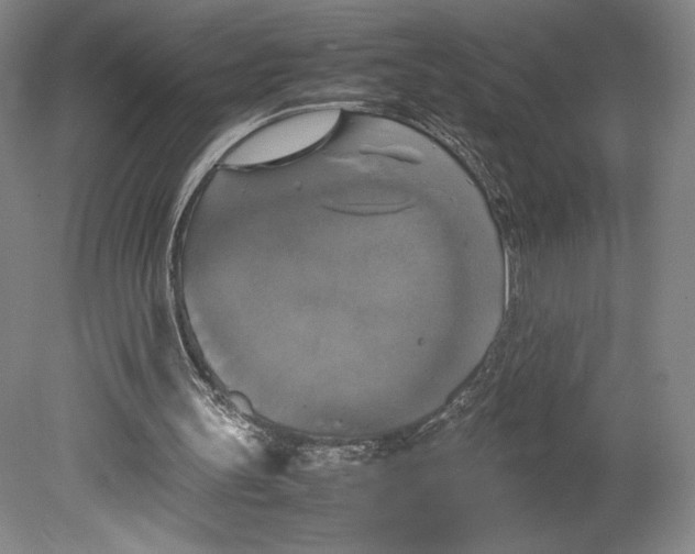X0000080760147200701051245