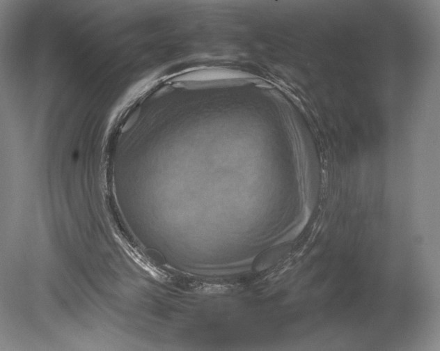 X0000080760149200701051245