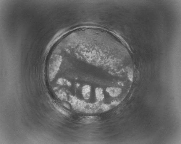 X0000080760151200701051245