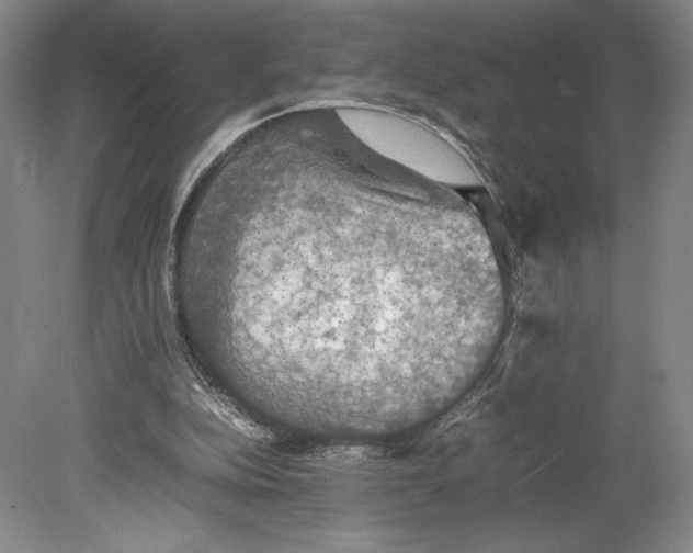 X0000080760152200701051245