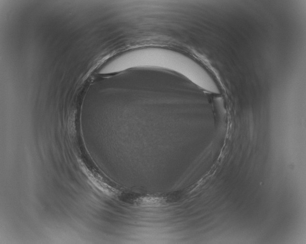 X0000080760154200701051245