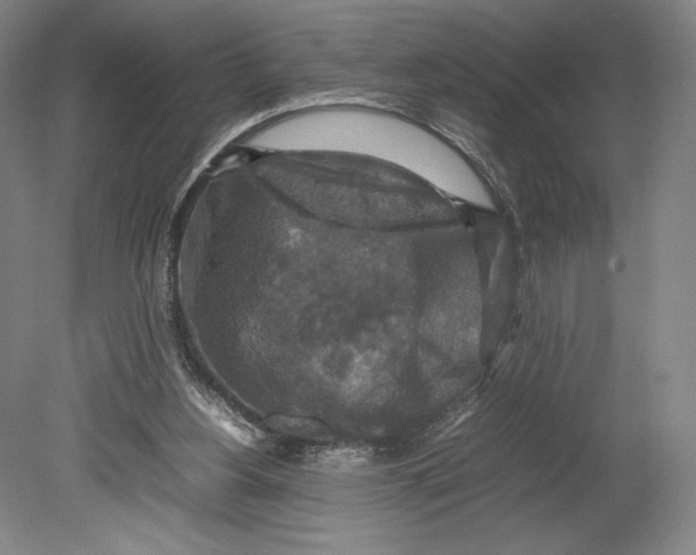 X0000080760156200701051245