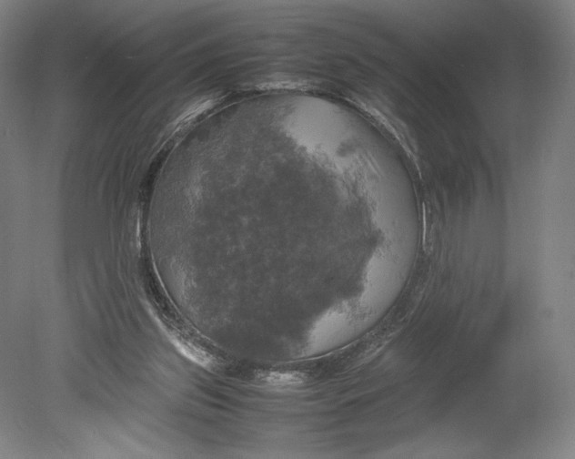 X0000080760157200701051245