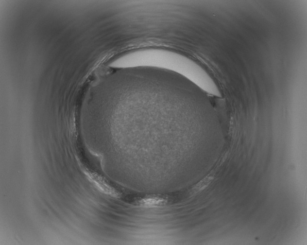 X0000080760158200701051245