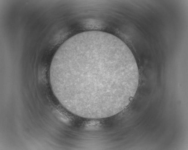 X0000080760162200701051245