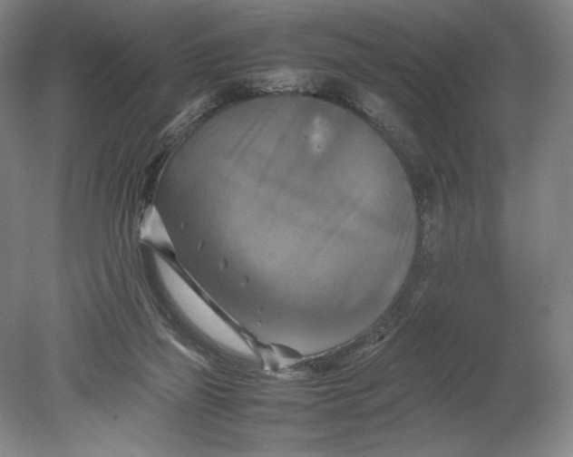 X0000080760165200701051245