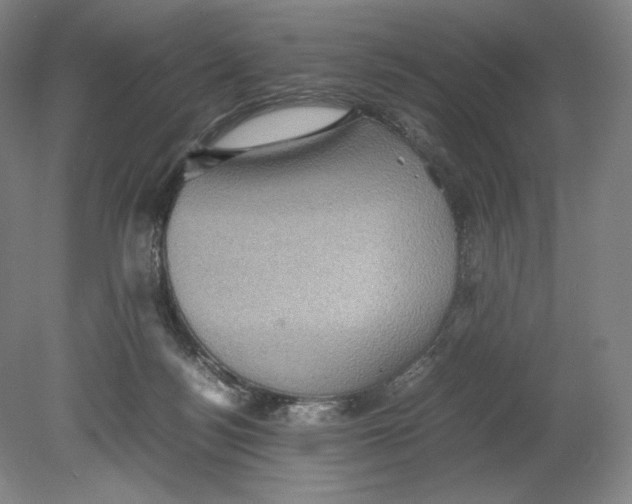X0000080760172200701051245