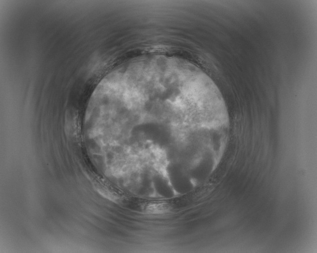 X0000080760173200701051245