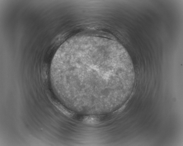 X0000080760174200701051245