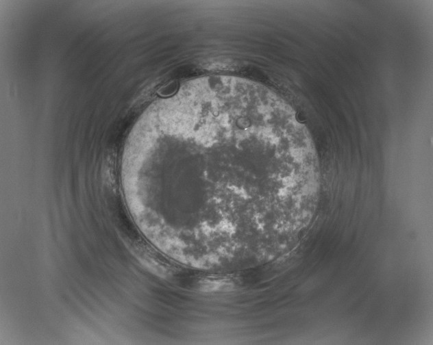 X0000080760175200701051245