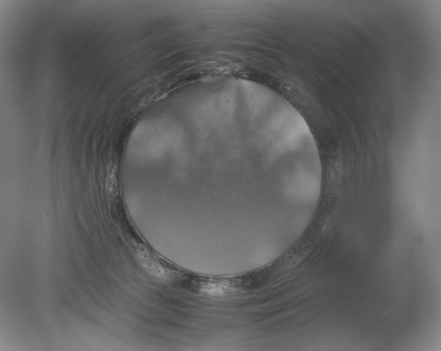 X0000080760177200701051245