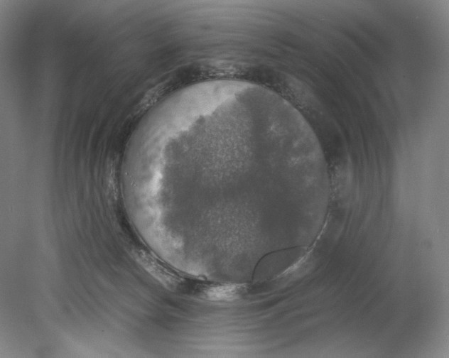 X0000080760178200701051245