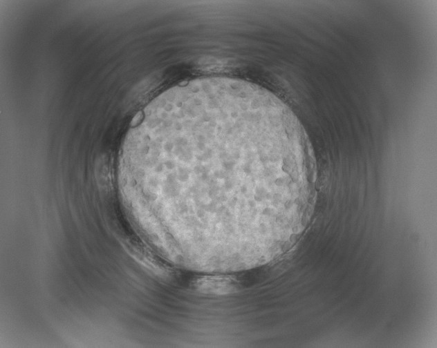 X0000080760179200701051245