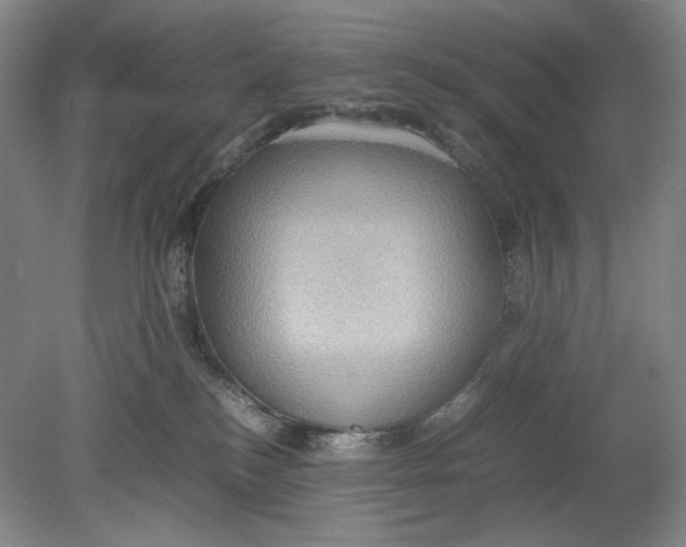 X0000080760184200701051245