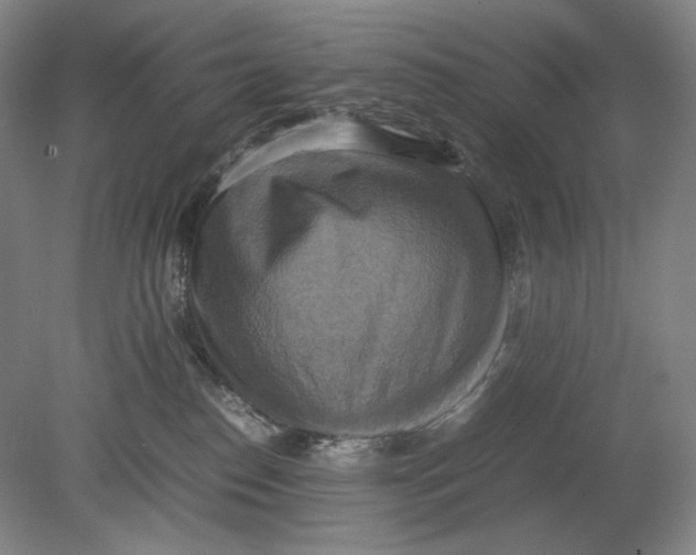 X0000080760186200701051245