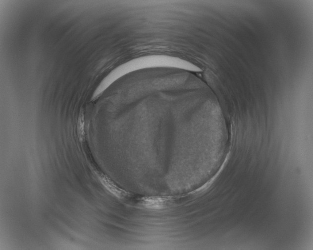X0000080760190200701051245