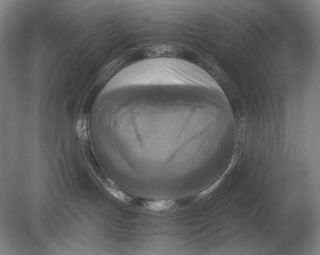 X0000080760191200701051245